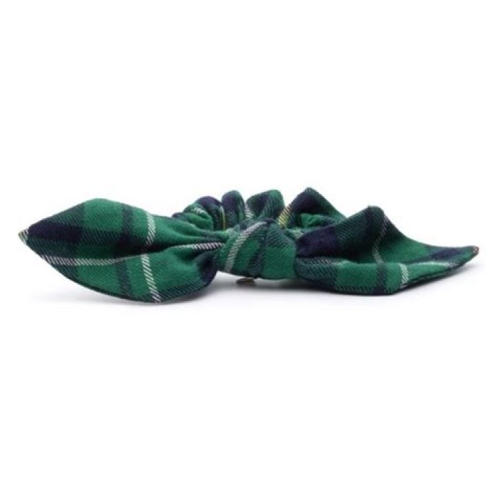 Dannijo Tai Scrunchie Green