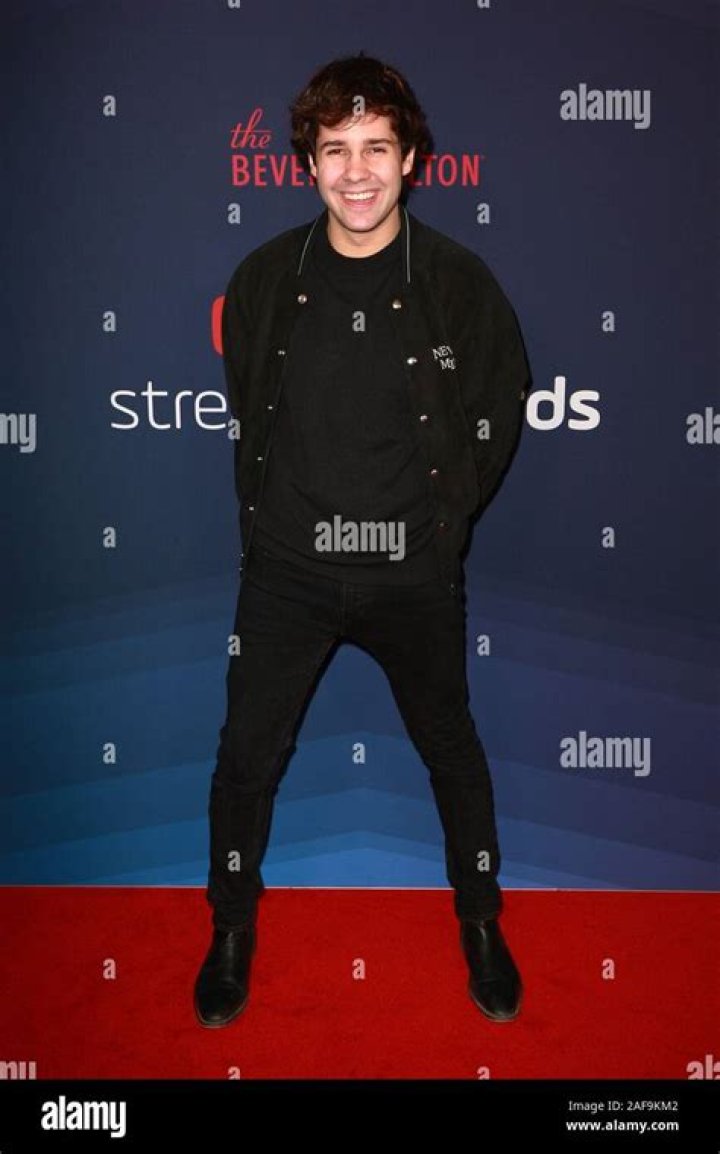 David Dobrik At The 9th Annual Streamy Awards