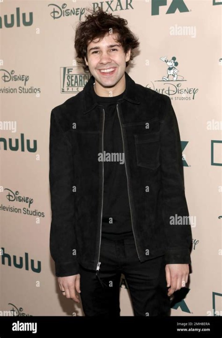 David Dobrik At The FX and Disney Golden Globes After-Party