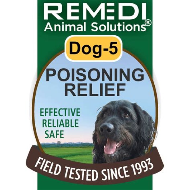 dog5