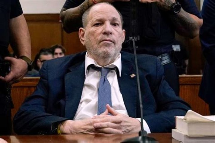 Harvey Weinstein’s Accusers — PICS