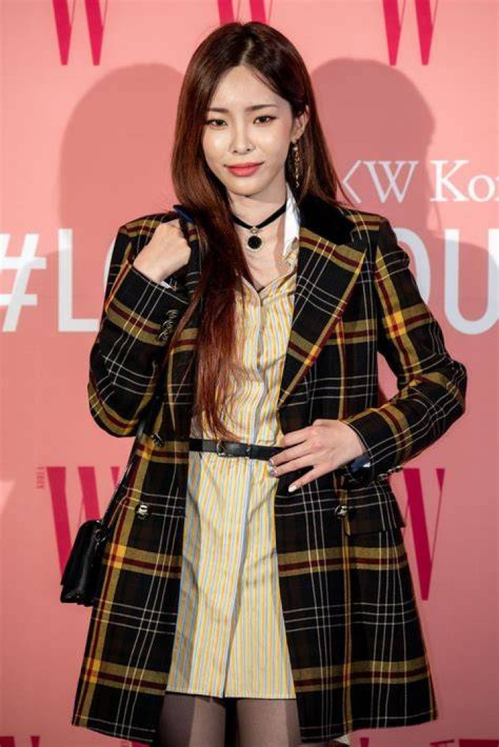 Heize Walks The Red Carpet