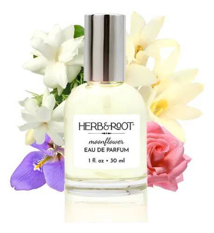 Herb & Root