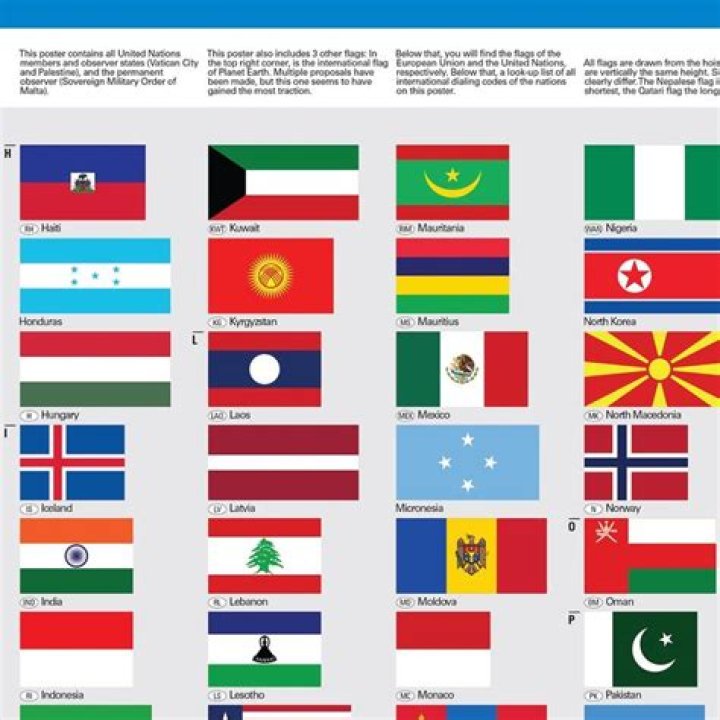 Look At All Those Flags