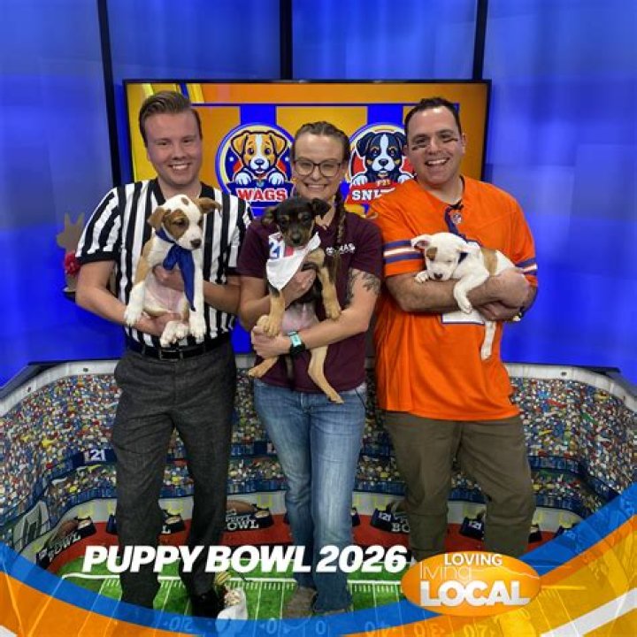 puppy-bowl-2