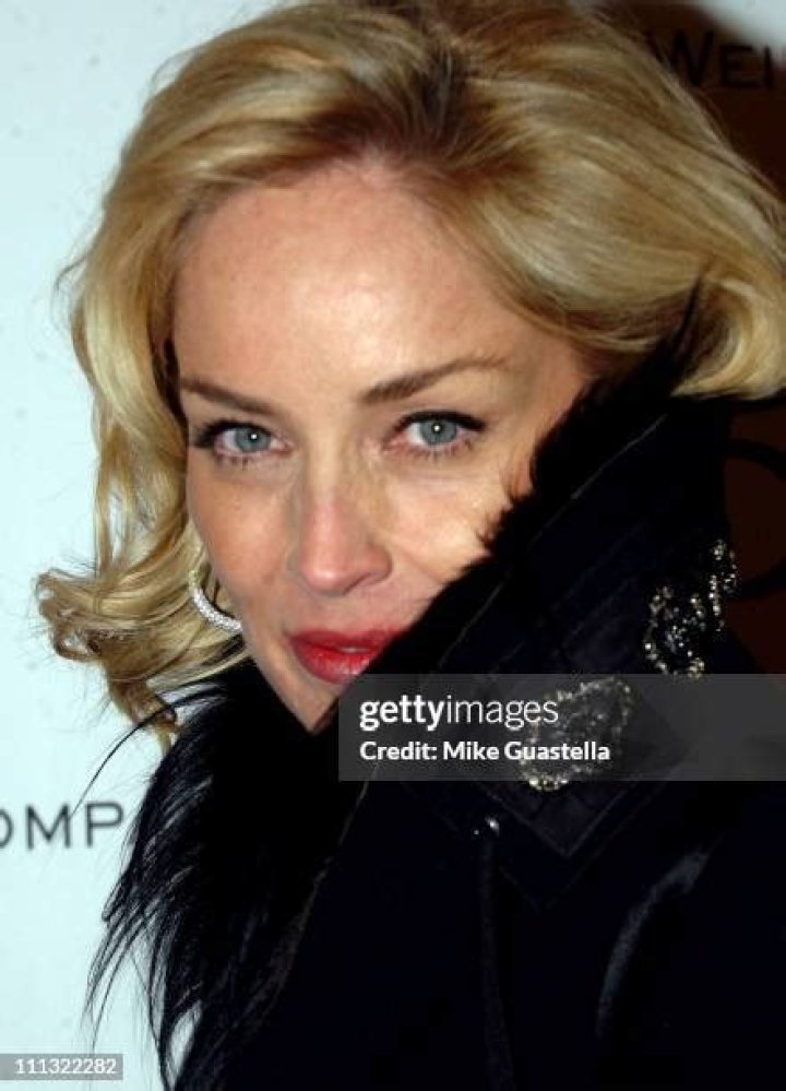 Sharon Stone In 2007