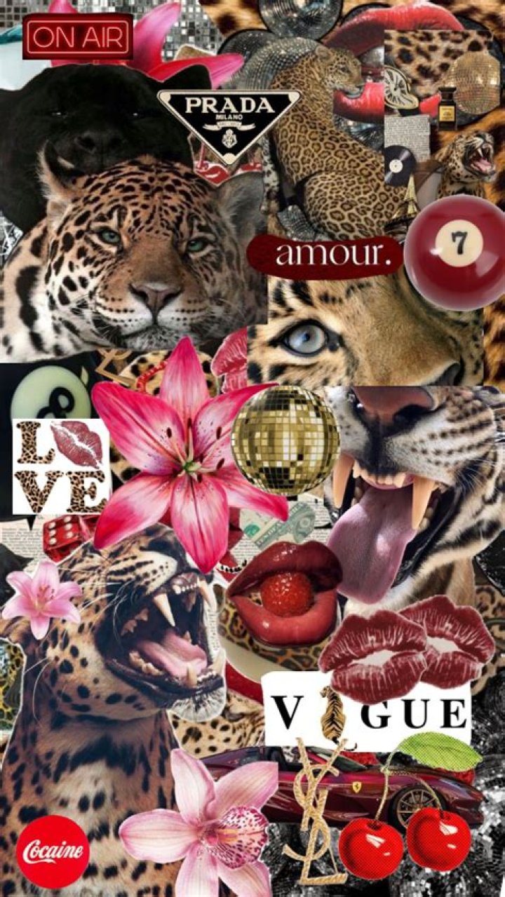 Stars In Leopard — PICS