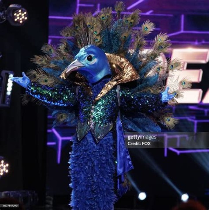 THE MASKED SINGER: Peacock in the &igrave;All Together Now&icirc; episode of THE MASKED SINGER airing Wednesday, Feb. 13 (9:00-10:00 PM ET/PT) on FOX. Cr: Michael Becker / FOX.